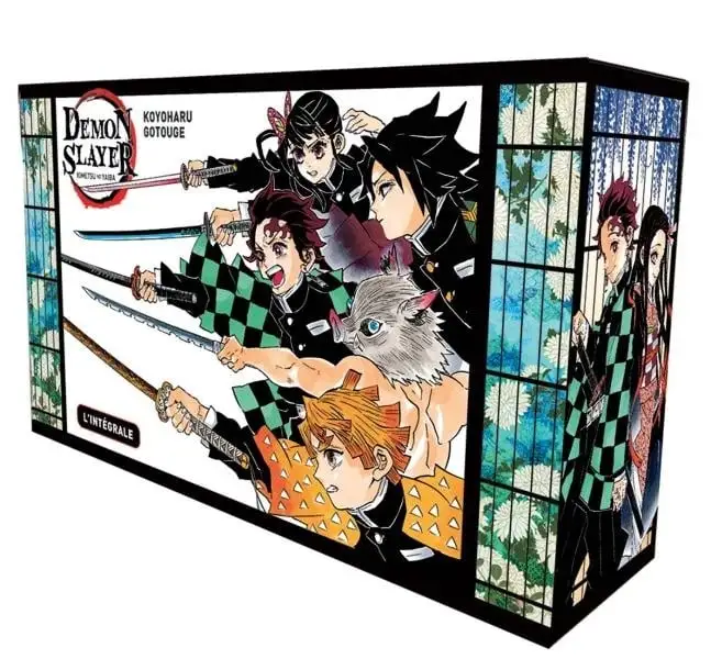 coffret manga intégral, lecture manga, idée cadeau